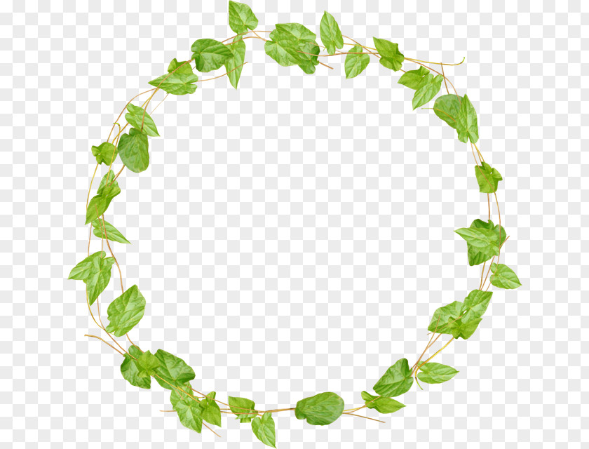 Green Circle Frame Clip Art Image GIF Illustration PNG