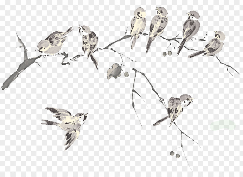 Ink Flock Of Birds Tree Background Bird Columbidae Rock Dove Wallpaper PNG