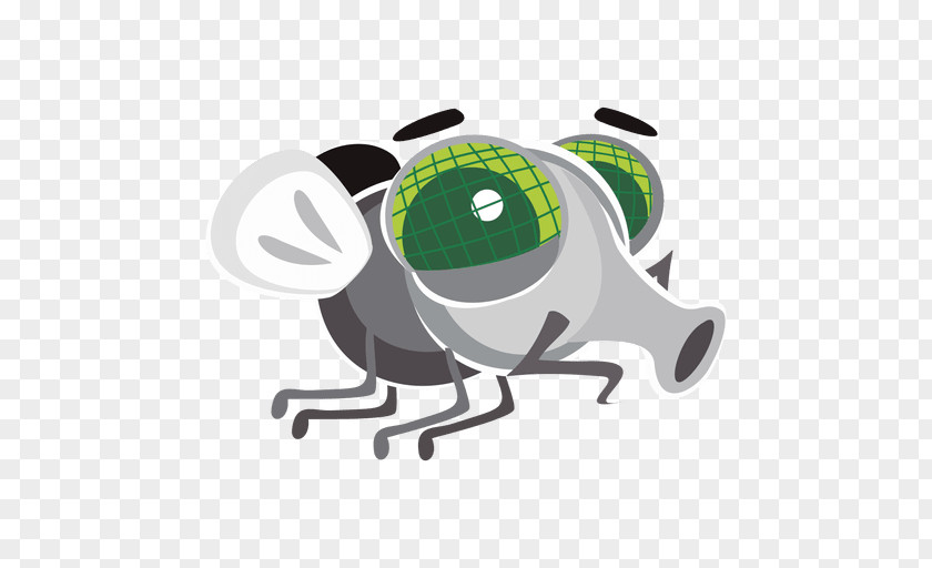 Insect Eye PNG