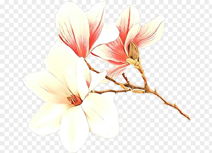 Malvales Twig Watercolor Flower Background PNG