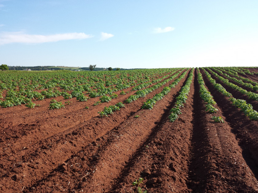 Agriculture Agricultural Soil Science Farmer PNG