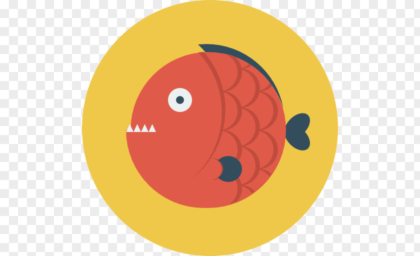 Meat Fish Kodi Instagram Dribbble PNG