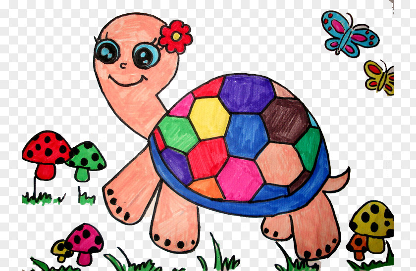 Painted Turtle Child Painting Creative Work PNG