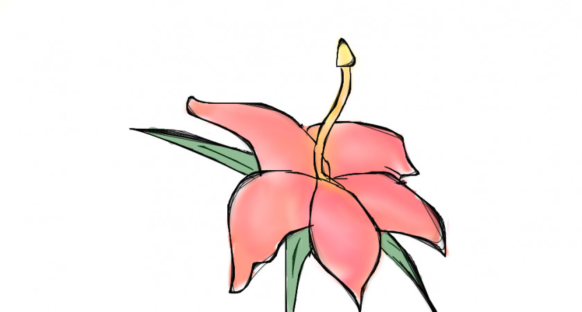Tropical Flower Drawings Drawing Clip Art PNG