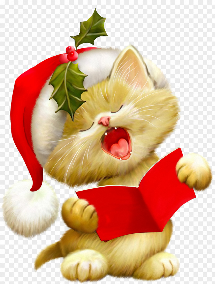 Cute Animals Cat Santa Claus Kitten Christmas Clip Art PNG