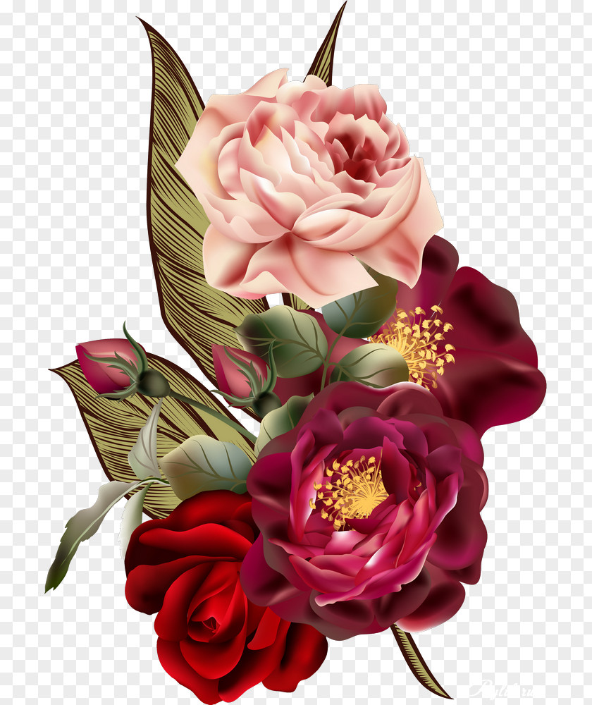 Flower Garden Roses Centifolia Cut Flowers Floral Design PNG