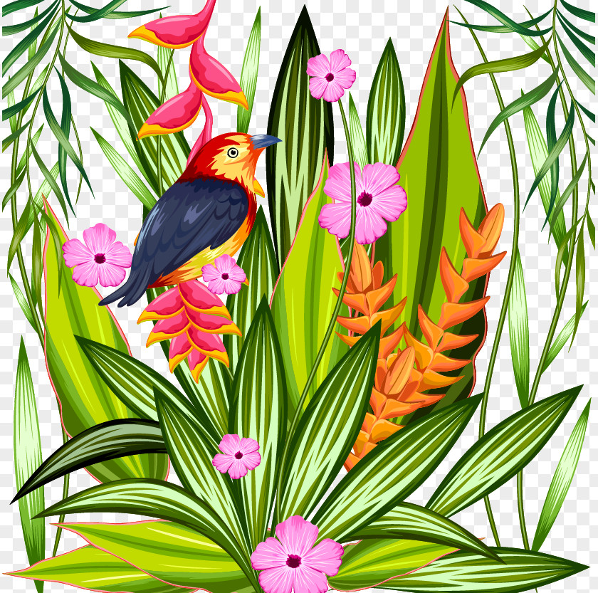 Tropical Plant Material Parrot Tropics Rainforest Illustration PNG