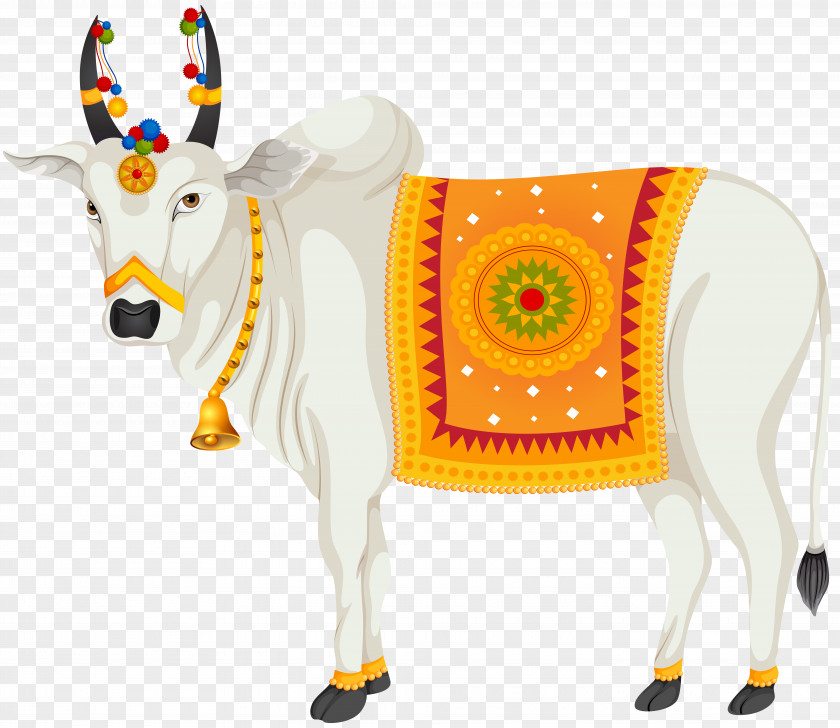 La India Dairy Cattle Gyr Amrit Mahal Clip Art PNG