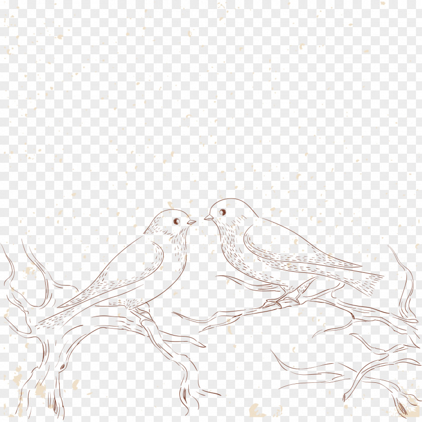Love Birds Sketch Beak Black And White Feather Pattern PNG