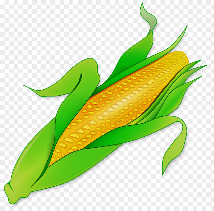 Anthurium Vegetable Leaf Vegetarian Food Corn On The Cob Plant PNG
