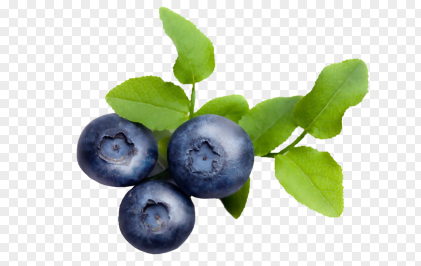 Blueberry Bilberry Lingonberry Varenye Huckleberry PNG