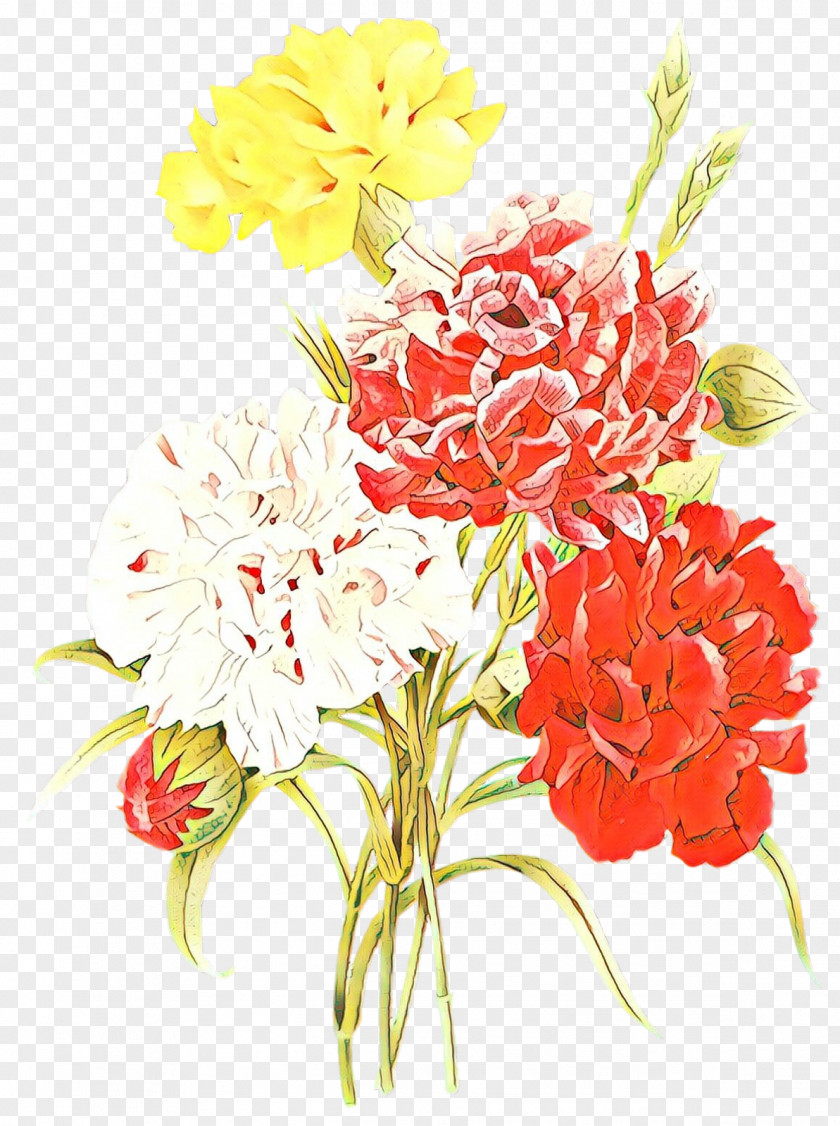Choix Des Plus Belles Fleurs Botanical Illustration Botany Drawing PNG