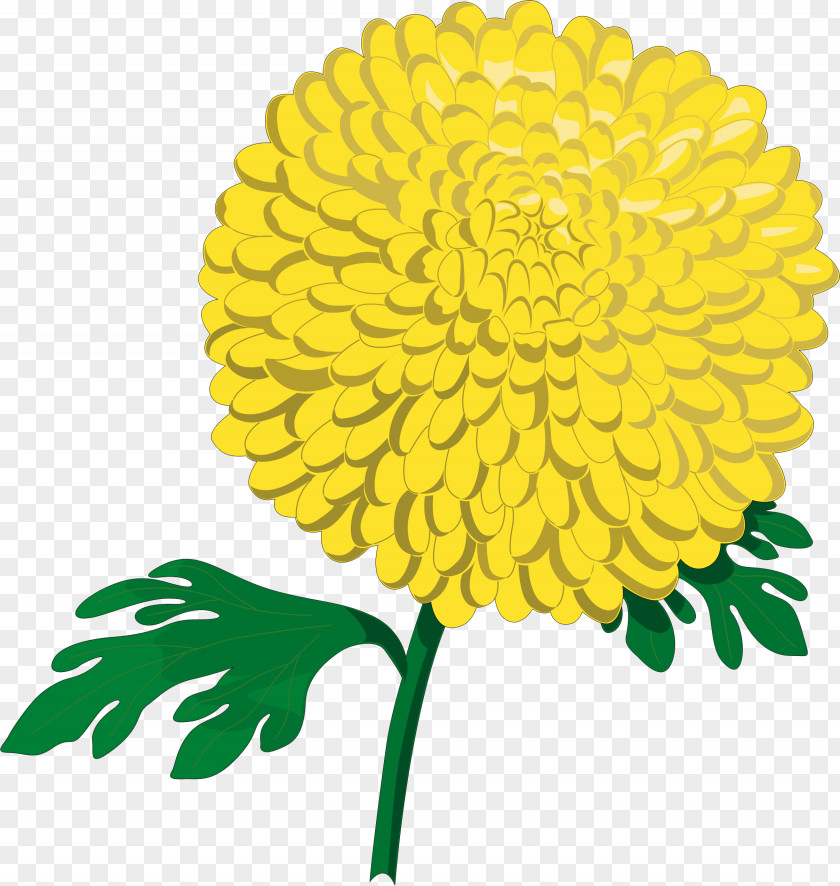 Chrysanthemum ×grandiflorum Flower Clip Art PNG