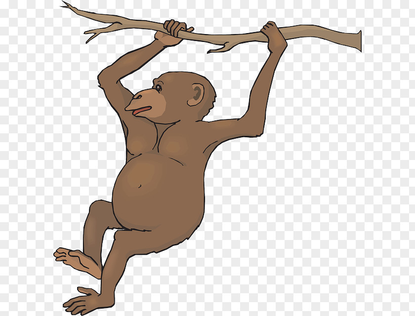 Hanging Monkey Clipart Free Content Clip Art PNG