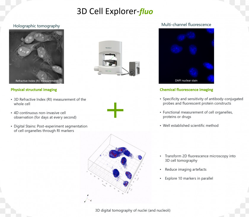 Microscope Fluorescence Cell Nucleus Microscopy PNG