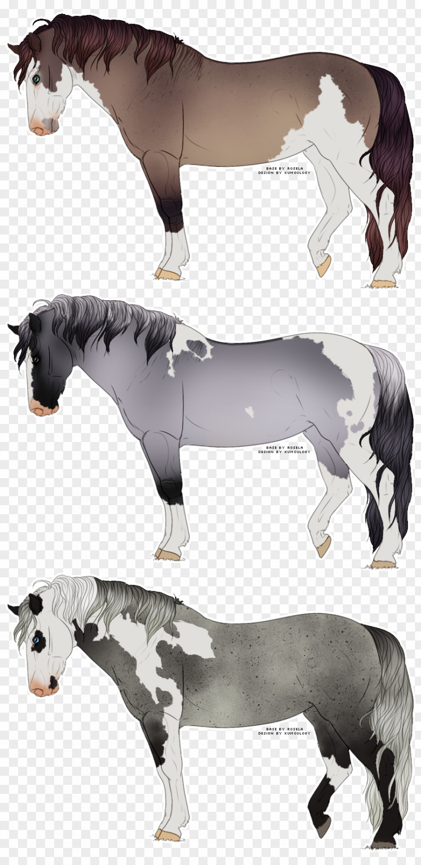 Mustang Mane Stallion Pony Donkey PNG