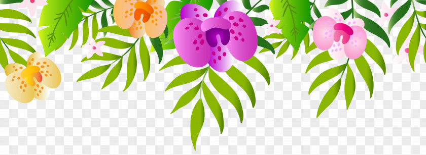 PLAYGROUND Top Floral Design Clip Art PNG