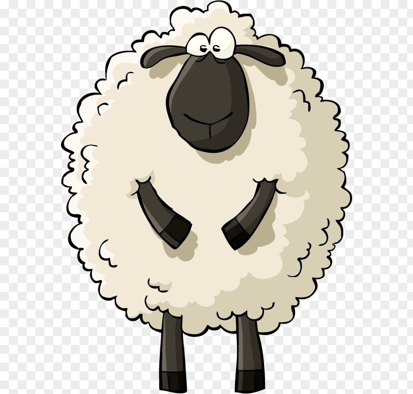 Sheep Drawing Cartoon PNG