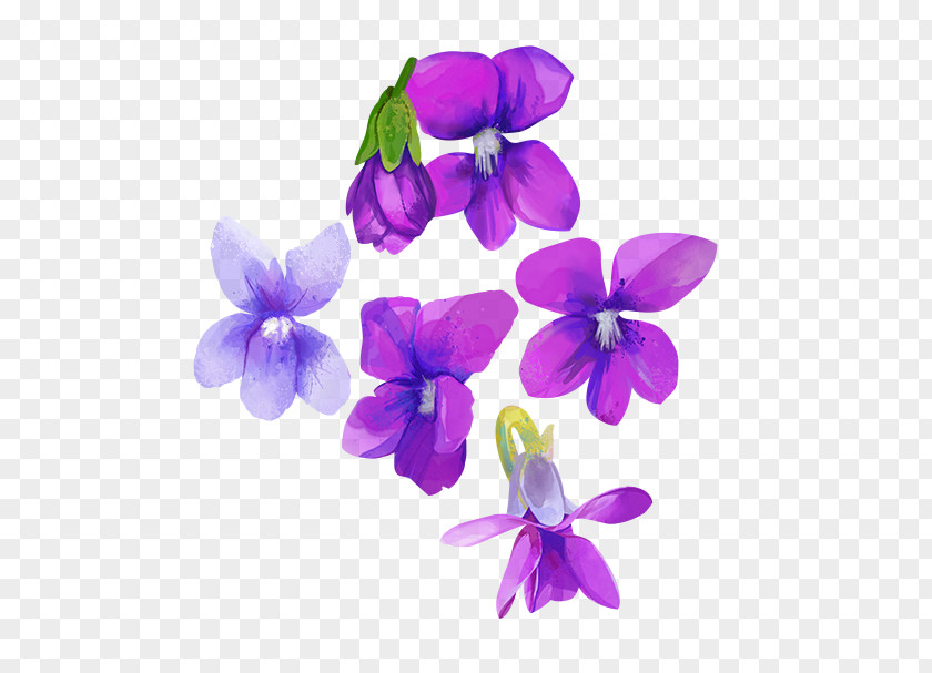 Watercolor Flower Purple Watercolour Flowers Violet Painting PNG