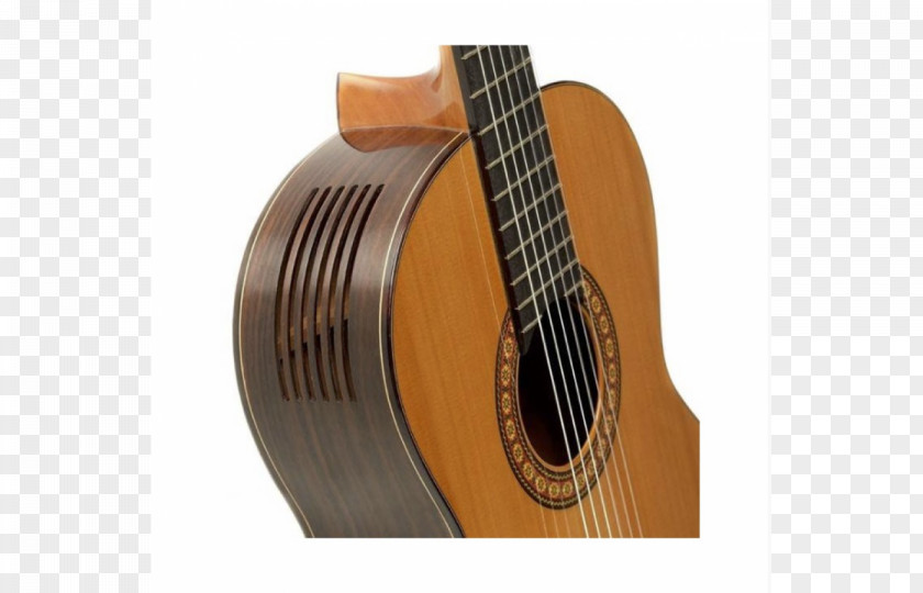 Acoustic Guitar Acoustic-electric Tiple Classical PNG