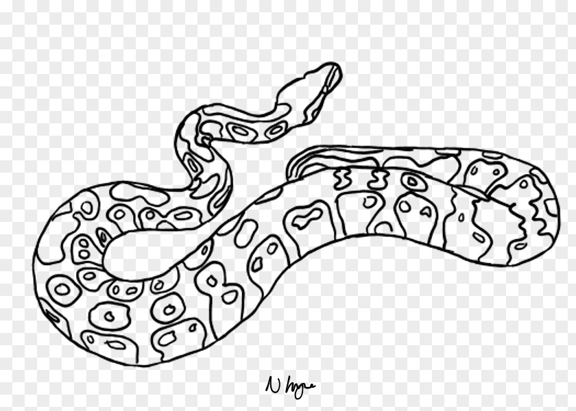 Ball Python Line Art Drawing Serpent DeviantArt Clip PNG