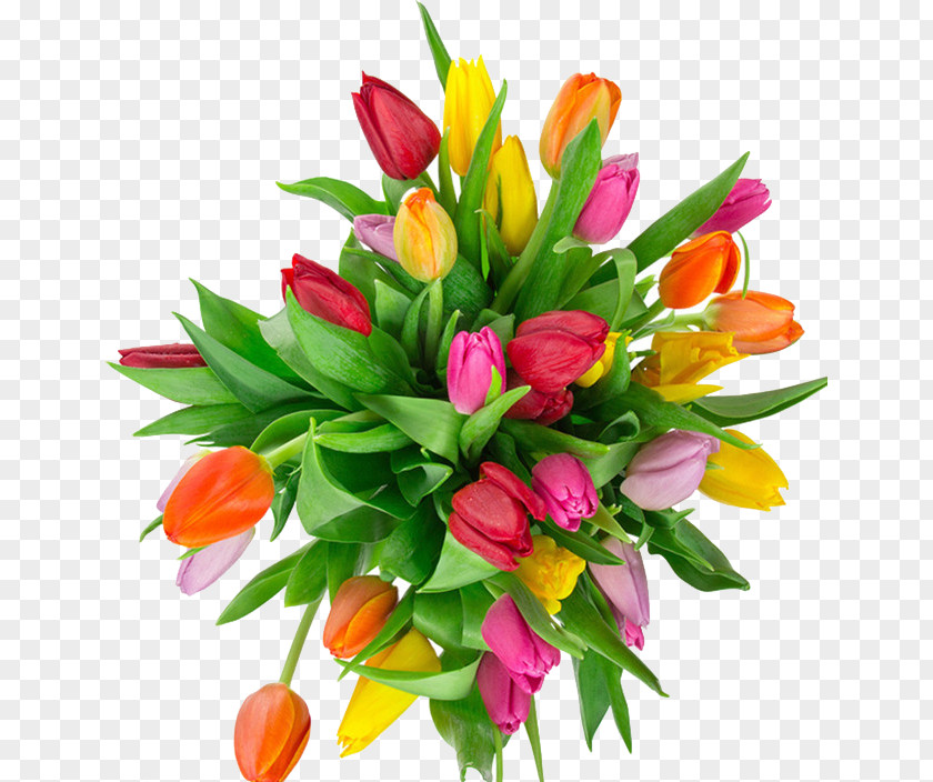 Colored Tulips Flower Bouquet Tulip Garden Roses PNG