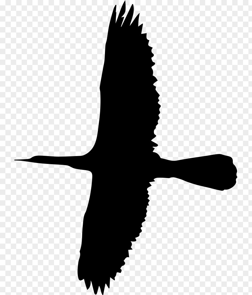 Duck Bird Silhouette Clip Art PNG