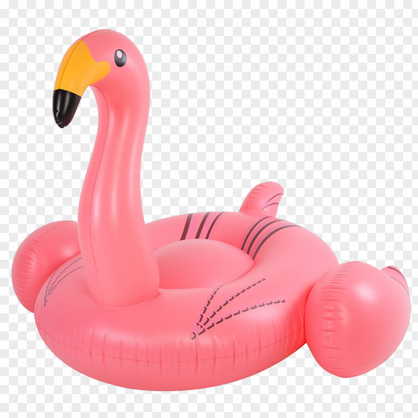 Flamingos Flamingo Inflatable Bouncers Water Bird PNG