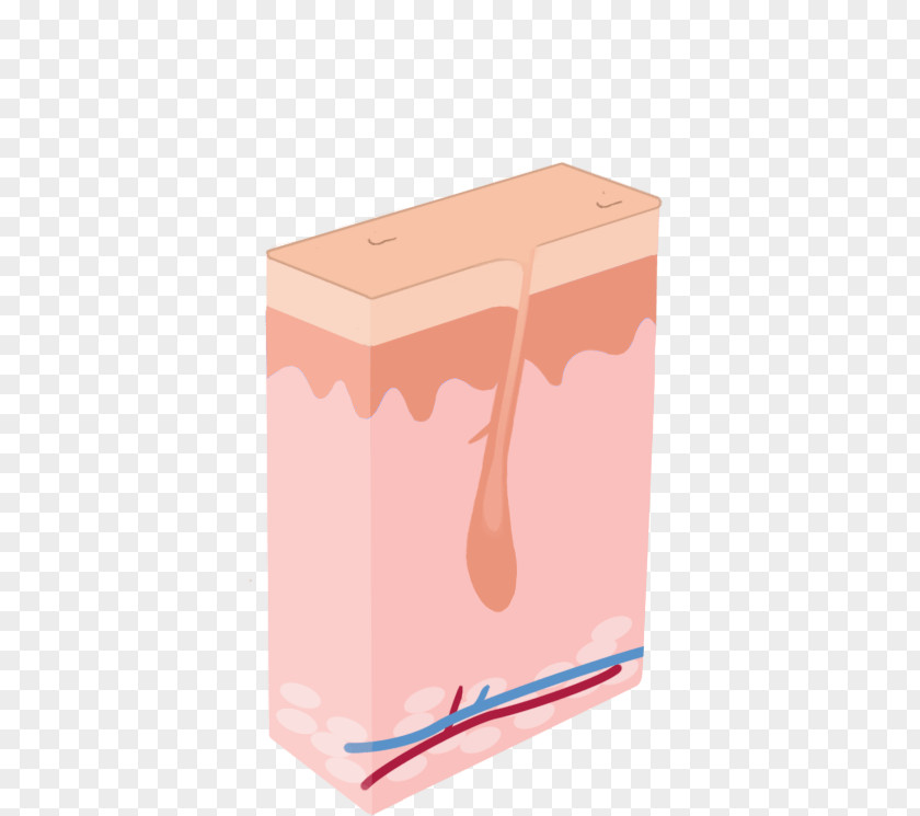 Laser Hair Removal Shaving PNG