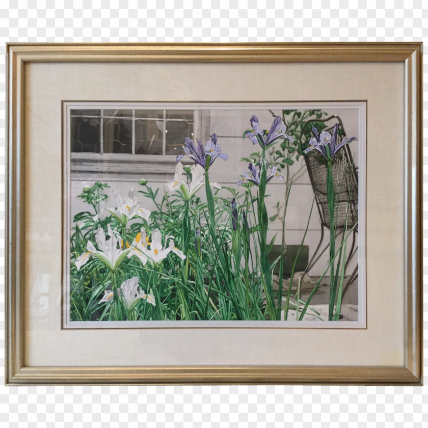 Window Still Life Watercolor Painting Picture Frames Flower PNG