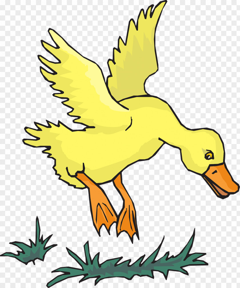 Yellow Duck Flight Airplane Mallard Helicopter Clip Art PNG