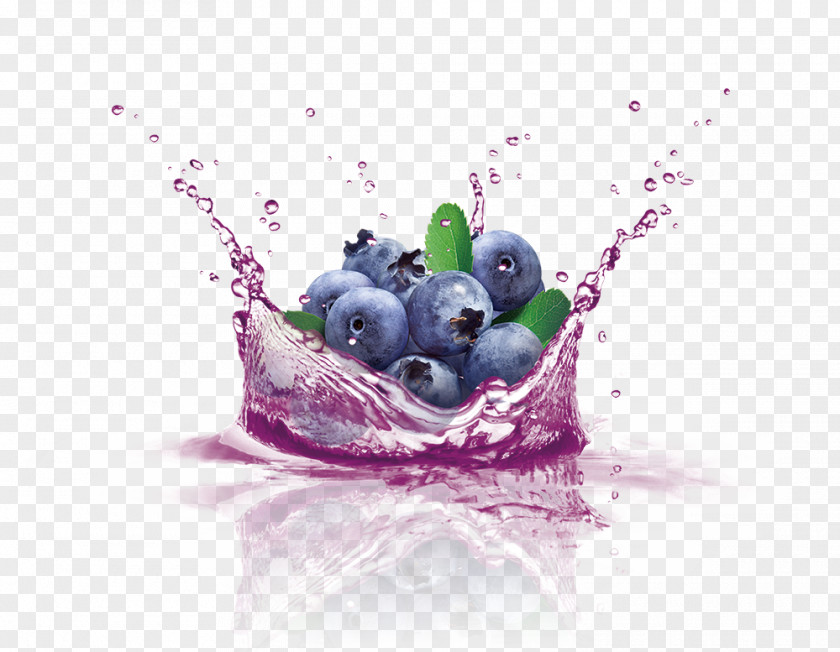 Blueberry Fruit Juice Euclidean Vector PNG