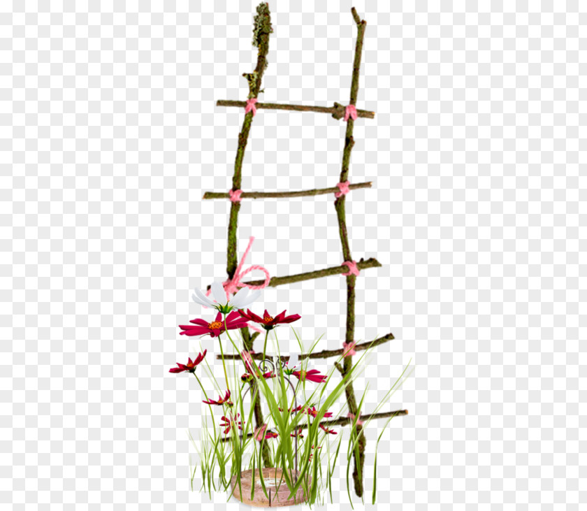 Branches Ladder Stairs Clip Art PNG