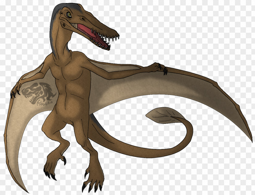Dinosaur Rhamphorhynchus Drawing Velociraptor Artist PNG