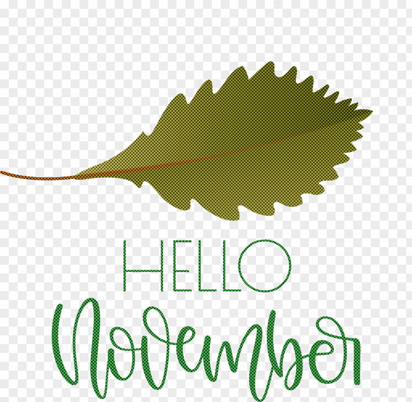 Hello November November PNG