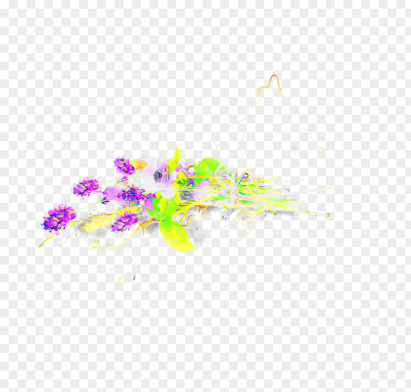 Plant Flower Wildflower PNG