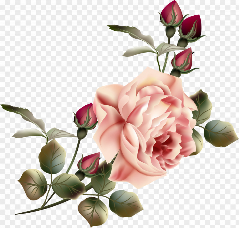 Vintage Flowers Flower Garden Roses Clip Art PNG