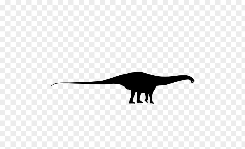Dinosaur Silhouette Apatosaurus Massospondylus Black And White PNG