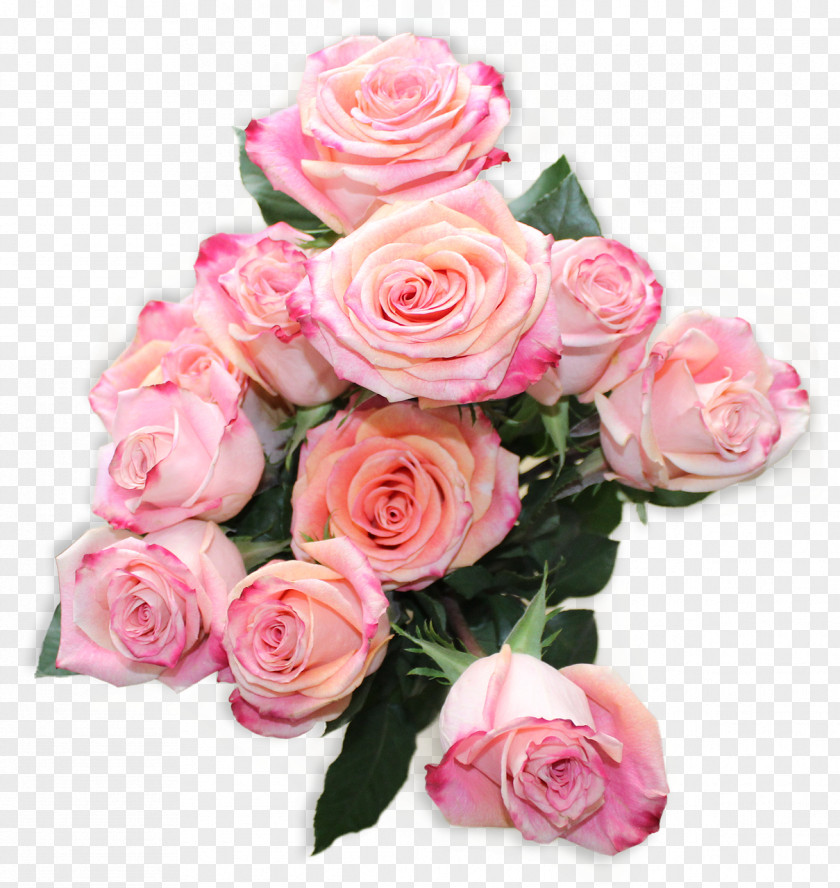Flower Garden Roses Bouquet Cabbage Rose Cut Flowers PNG
