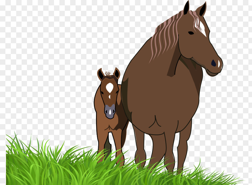 Foal Cliparts American Paint Horse Quarter Mare Pony PNG