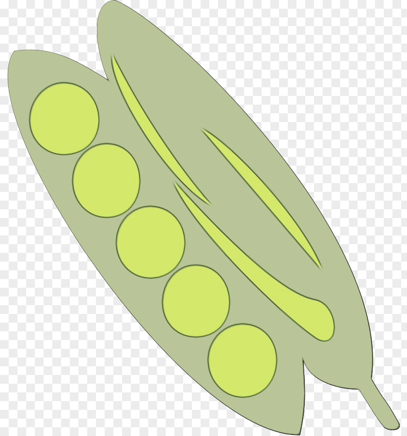 Plant Leaf Yellow Green PNG