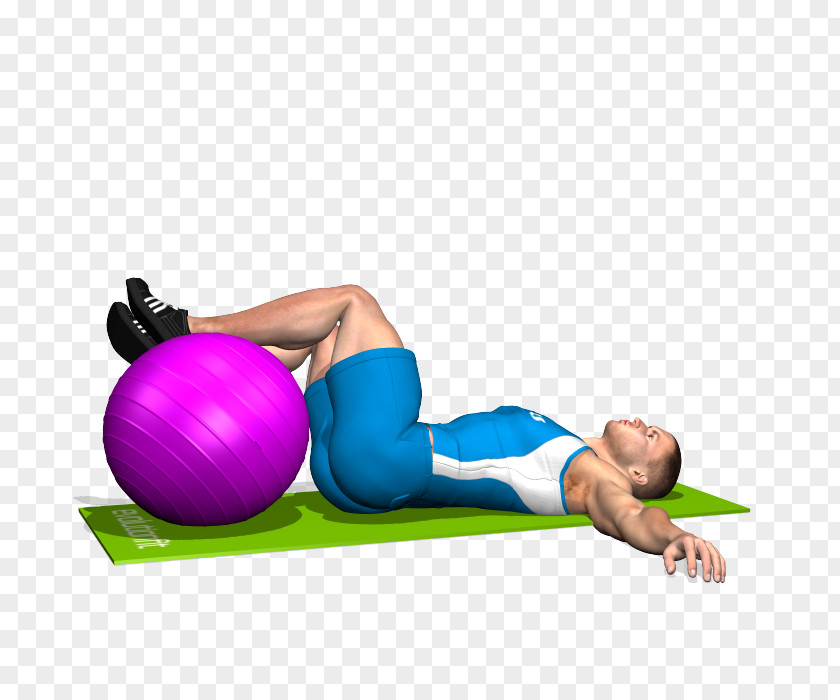 Totem Exercise Balls Abdomen Crunch Abdominal External Oblique Muscle PNG
