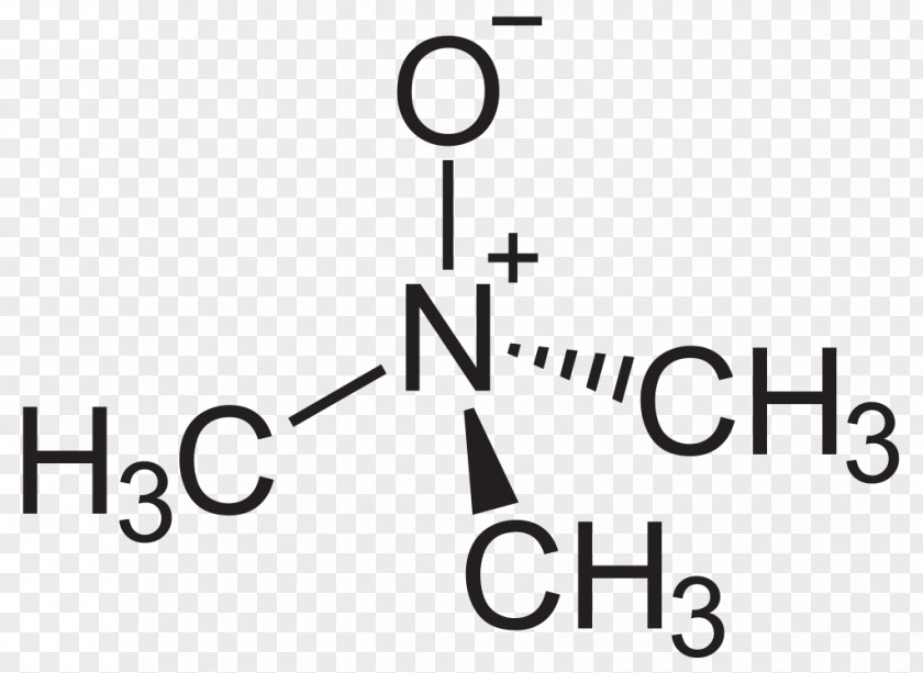 Trimethylamine N-oxide Amine Oxide N-Methylmorpholine PNG