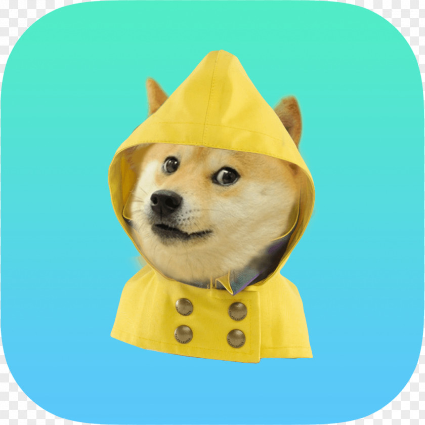 Doge Weather Forecasting Android PNG