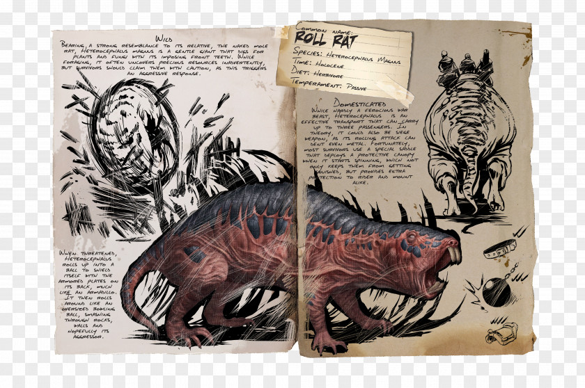 Rat ARK: Survival Evolved Dinosaur Tame Animal Doedicurus Clavicaudatus PNG