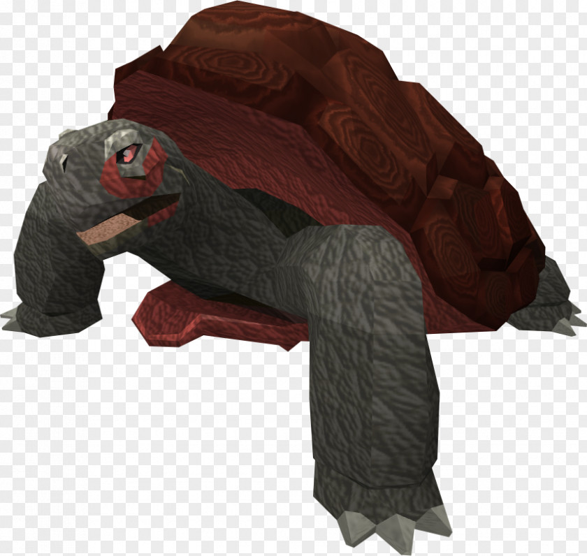 Tortoide RuneScape Video Game Tortoise Turtle Wikia PNG