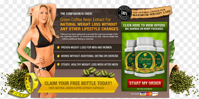 Coffee Green Extract Breakfast Bean PNG