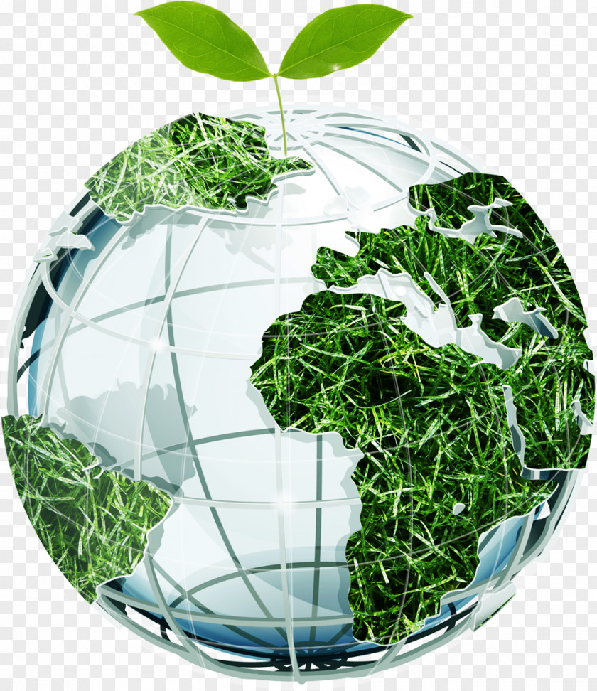 Environmental Earth Sprout Protection Natural Environment PNG