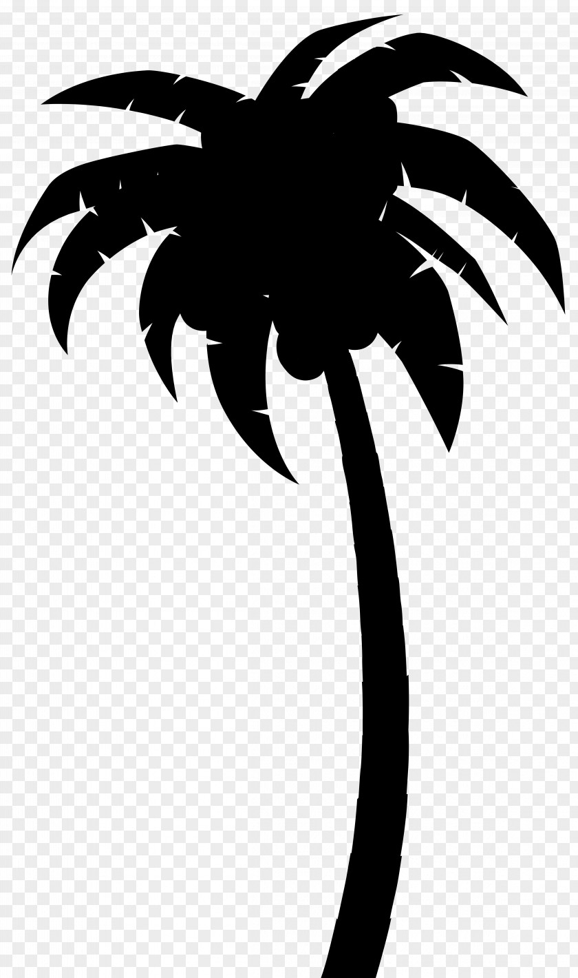 Palm Trees Clip Art Silhouette Leaf Flower PNG