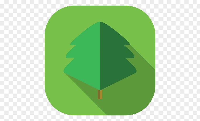 Tree PNG